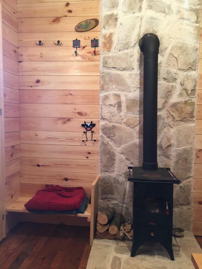 Cozy Cabin Žabljak 外观 照片